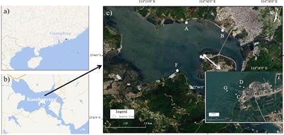 Carbon storage potential and influencing factors of mangrove plantation in Kaozhouyang, Guangdong Province, South China